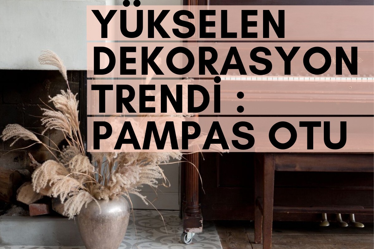 Yükselen Dekorasyon Trendi : Pampas Otu
