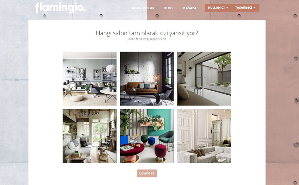 Flamingio Tarz Quizi