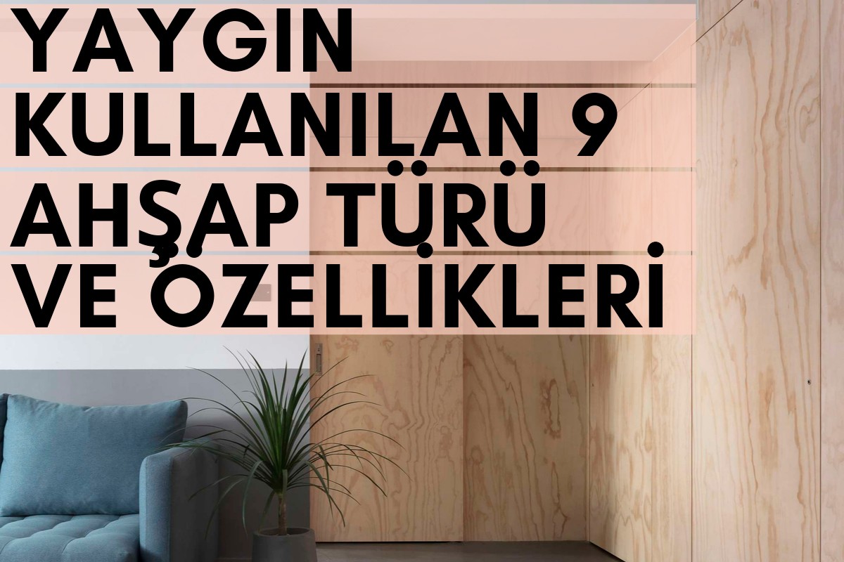 Yaygın Kullanılan 9 Ahşap Türü ve Özellikleri